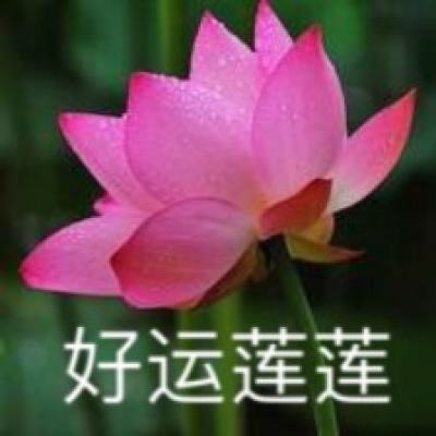 忍者太嚣张破解版下载