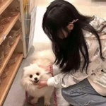 全境战争手机版下载免费